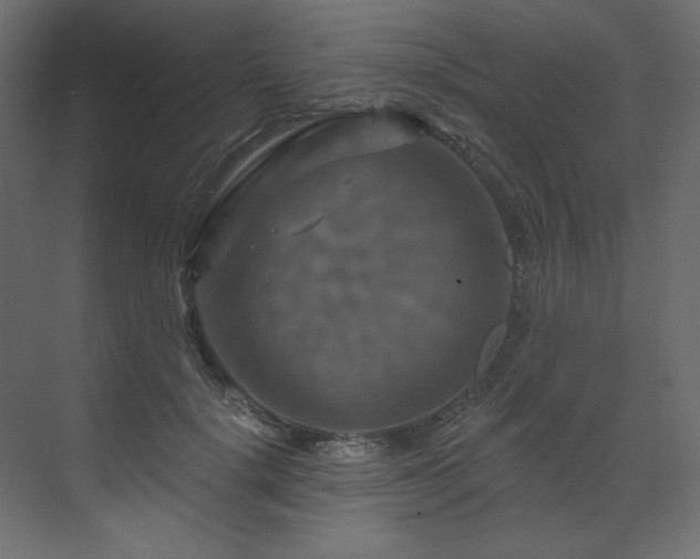 X0000070180652200605301352