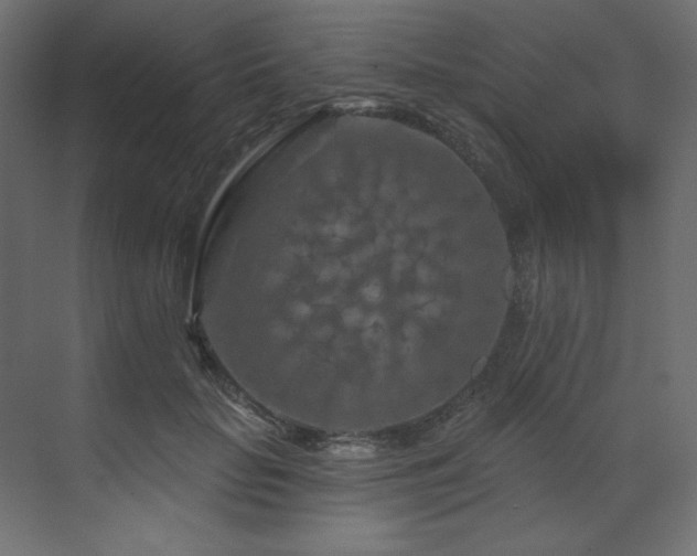 X0000070180653200605301352