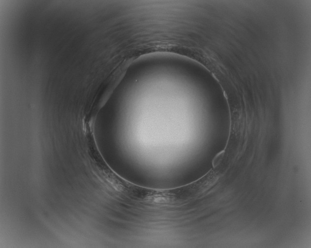 X0000070180655200605301352