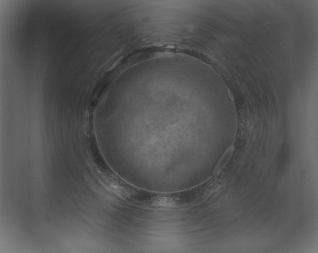 X0000070180656200605301352