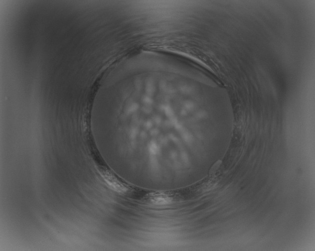 X0000070180658200605301352