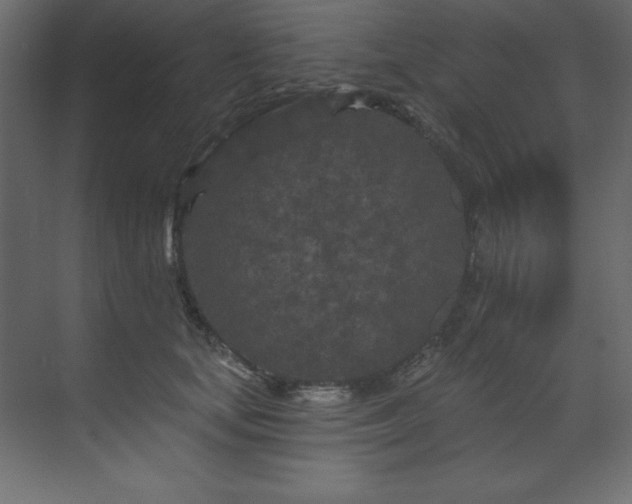 X0000070180659200605301352