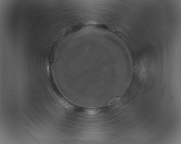 X0000070180662200605301352