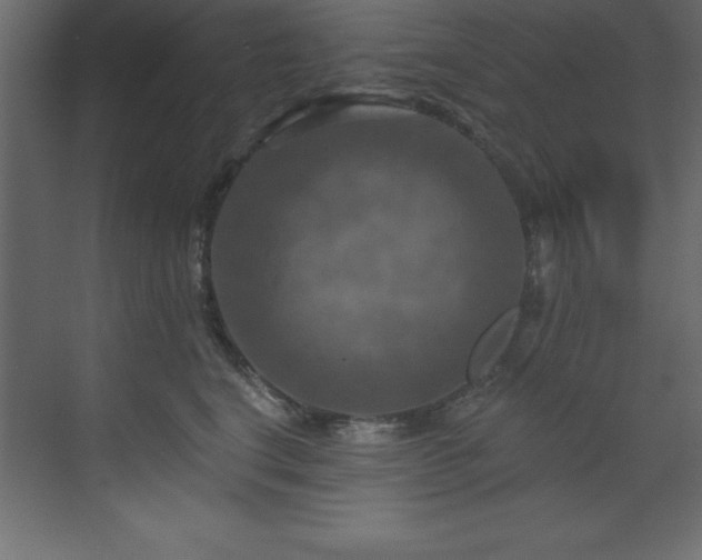 X0000070180664200605301353
