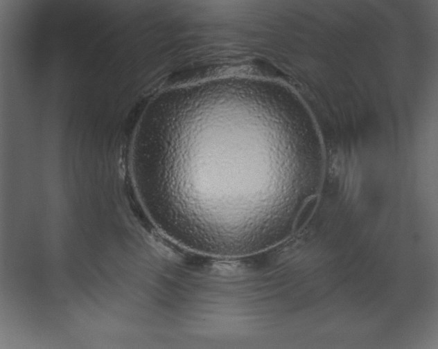 X0000070180666200605301353