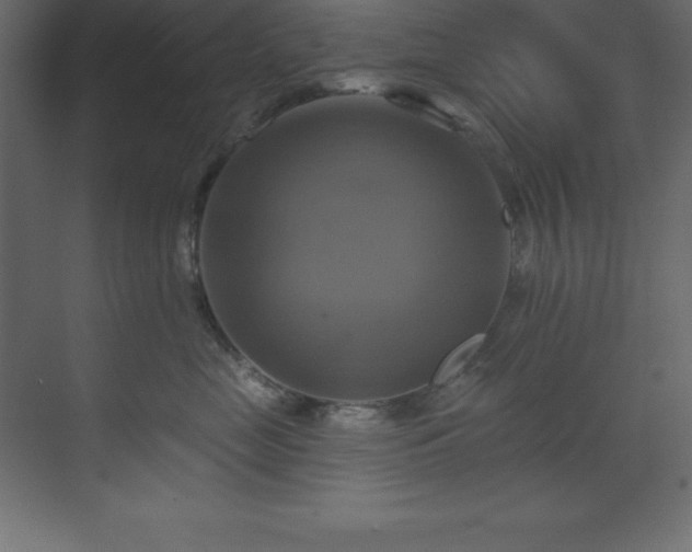 X0000070180669200605301353