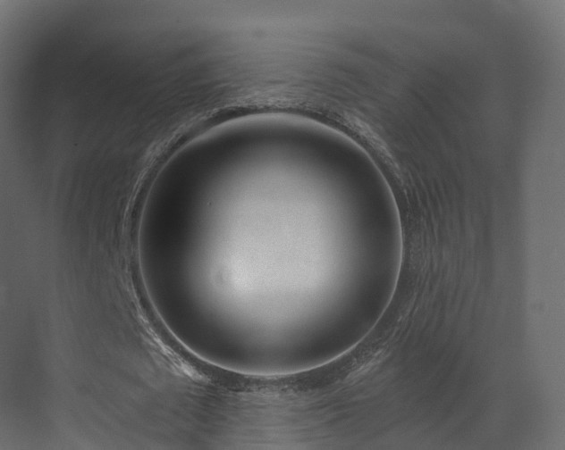 X0000070180673200605301352