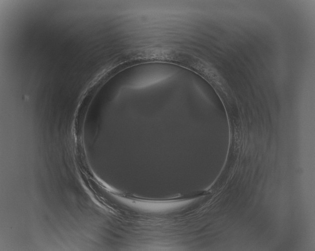X0000070180674200605301352