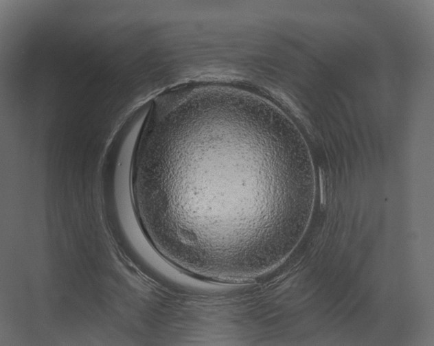 X0000070180675200605301352