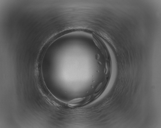 X0000070180676200605301352