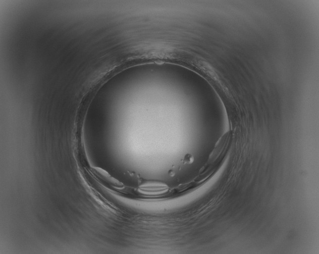 X0000070180677200605301352
