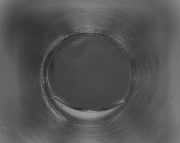 X0000070180678200605301352