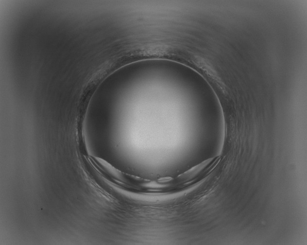 X0000070180681200605301352