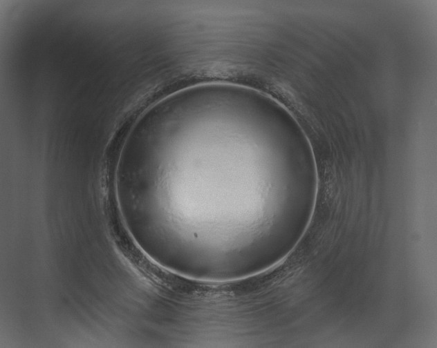X0000070180683200605301352