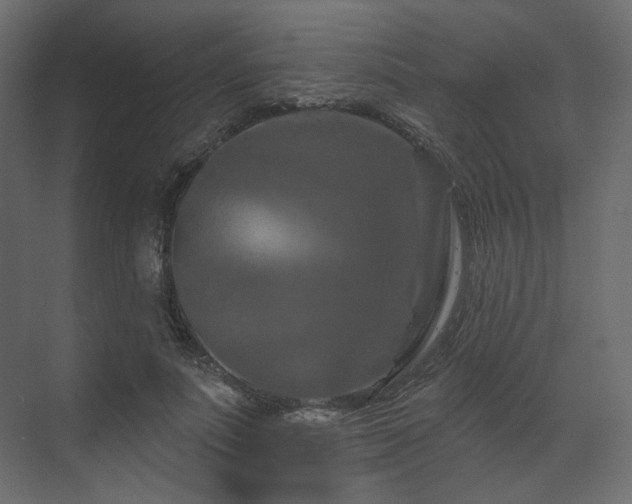 X0000070180691200605301352