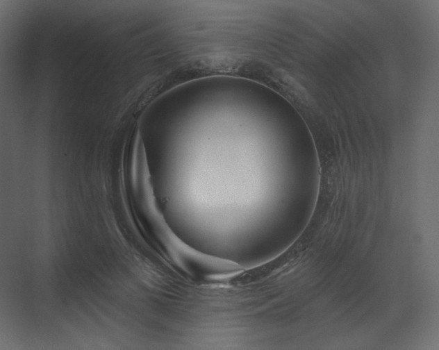 X0000070180693200605301352
