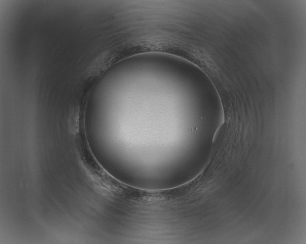 X0000070180694200605301351