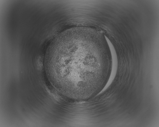 X0000070180695200605301351