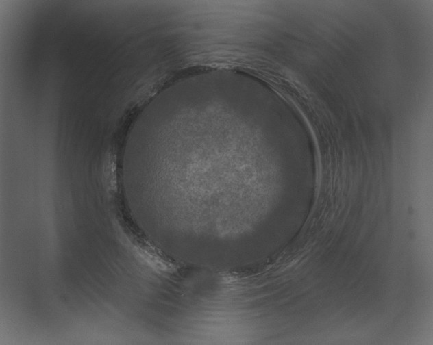 X0000070180696200605301351