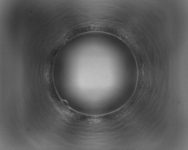 X0000070180698200605301351
