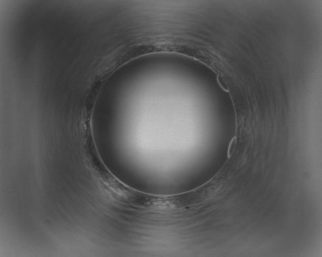X0000070180702200605301351