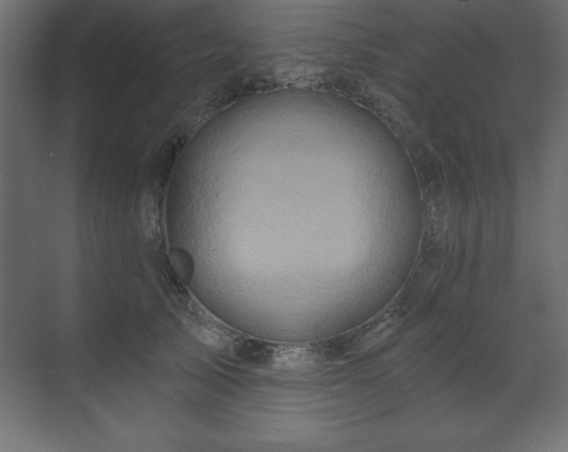 X0000070180705200605301351