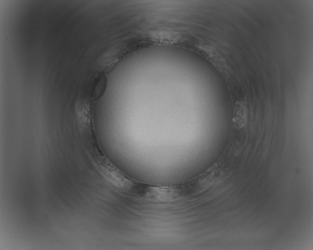 X0000070180713200605301351