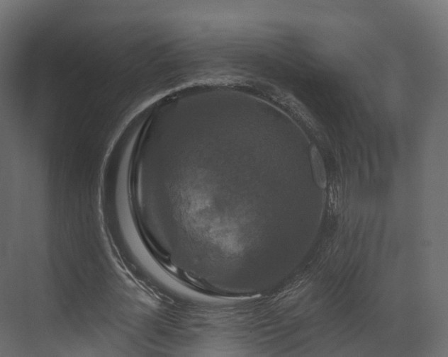 X0000070180724200605301350