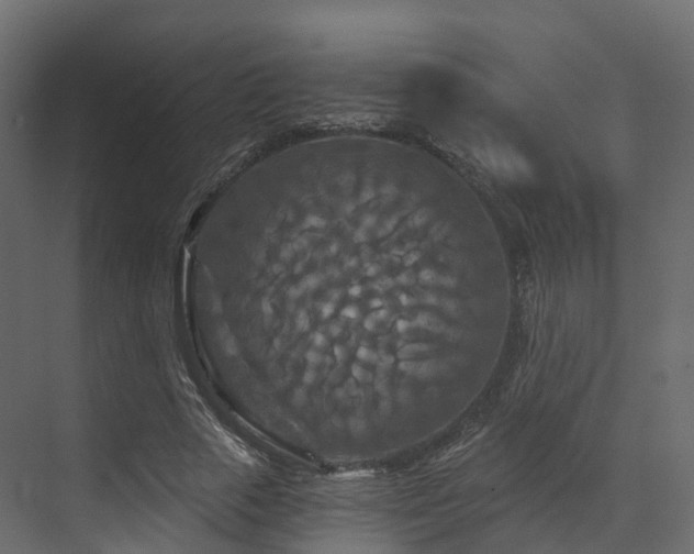 X0000070180729200605301350