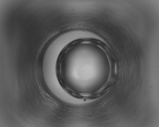 X0000070180731200605301350