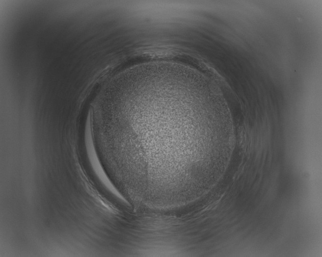 X0000070180733200605301350