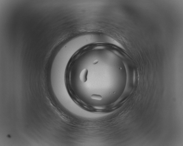 X0000070180735200605301350