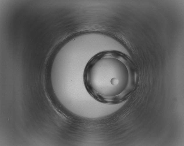 X0000070180736200605301350