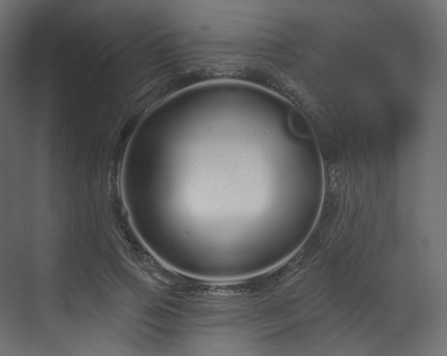 X0000070180741200605301351