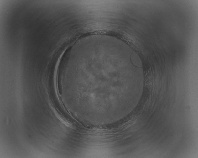 X0000070180742200605301351