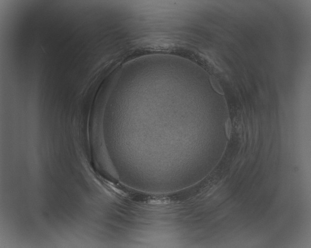 X0000070180744200605301351