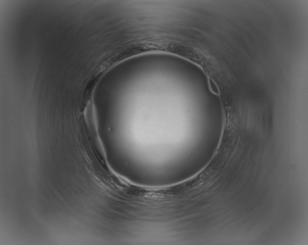 X0000070180749200605301351