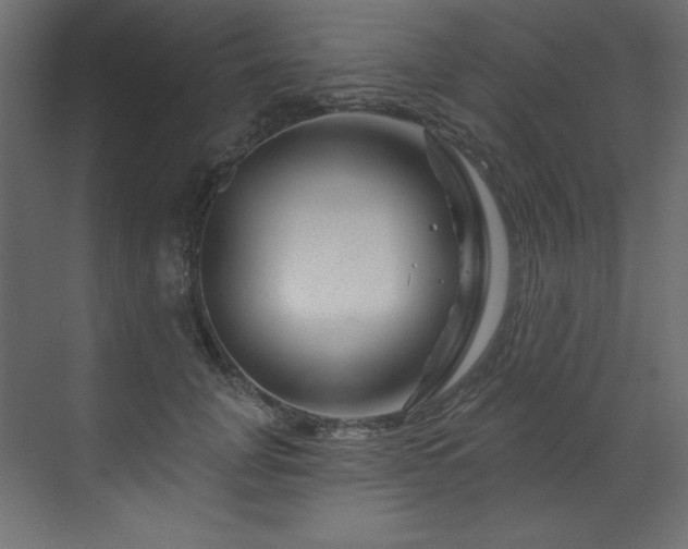 X0000070180751200605301351