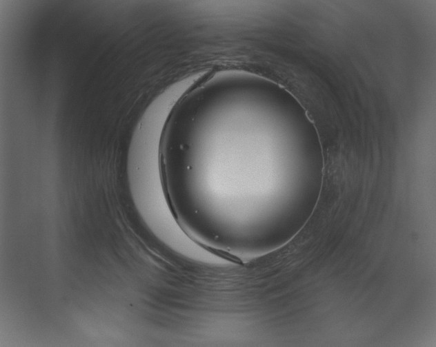 X0000070180752200605301351