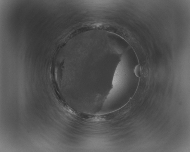 X0000070180754200605301351