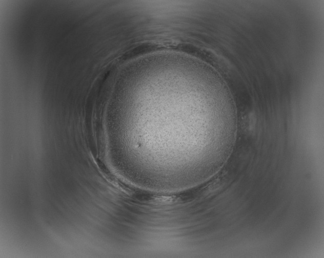X0000070180757200605301351