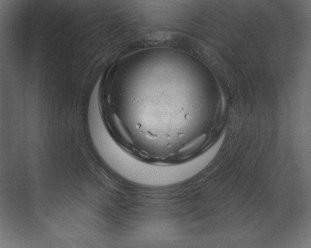 X0000070180758200605301351