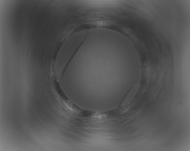 X0000070180760200605301351