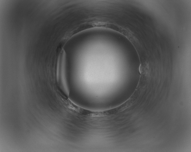 X0000070180763200605301351