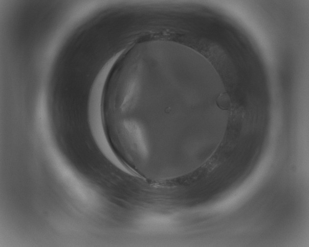X0000070180765200605301351