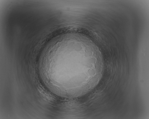 X0000070180769200605301350