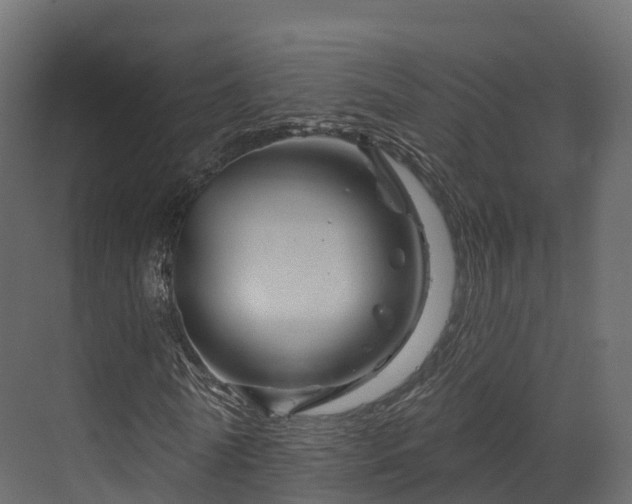 X0000070180770200605301350