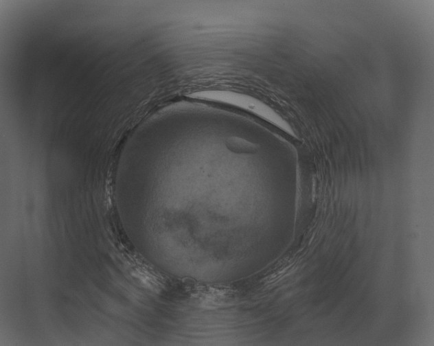 X0000070180772200605301350