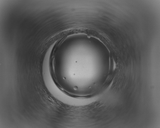 X0000070180773200605301350