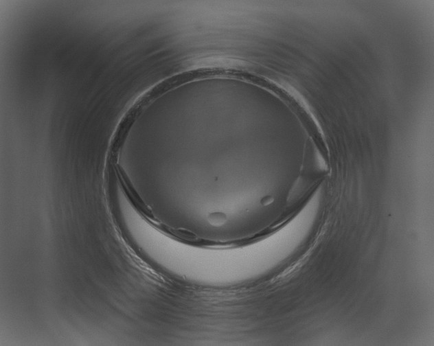 X0000070180783200605301350